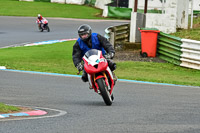 enduro-digital-images;event-digital-images;eventdigitalimages;mallory-park;mallory-park-photographs;mallory-park-trackday;mallory-park-trackday-photographs;no-limits-trackdays;peter-wileman-photography;racing-digital-images;trackday-digital-images;trackday-photos